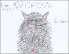 Picture of Crystal drawn by one of my students